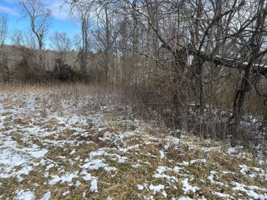 Lake Lot For Sale in Jamestown, Tennessee