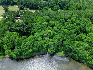 This is a rare opportunity to own a piece of paradise on Lake - photo 12