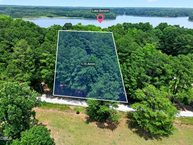This is a rare opportunity to own a piece of paradise on Lake - photo 18