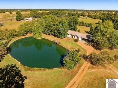 (private lake, pond, creek) Home For Sale in Mayfield Kentucky