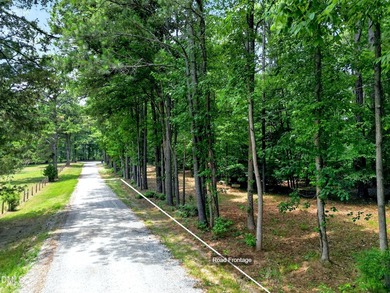 This is a rare opportunity to own a piece of paradise on Lake - photo 22