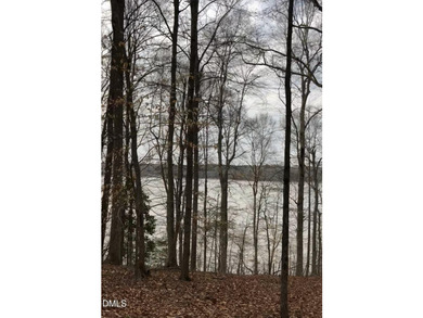 This is a rare opportunity to own a piece of paradise on Lake - photo 24