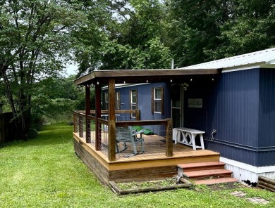 Lake Home For Sale in Springville, Tennessee