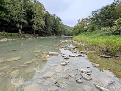 (private lake, pond, creek) Acreage For Sale in Woodhull New York