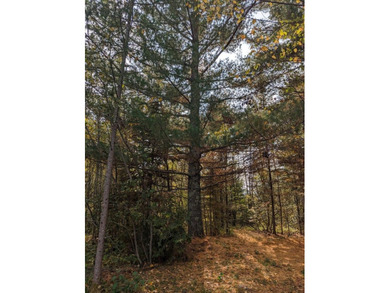 Escape to the great outdoors with this 37-acre recreational and - photo 11