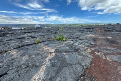 An excellent opportunity to own two adjacent parcels in the - photo 13