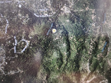 Lake Arrowhead Acreage For Sale in Cedar Glen California