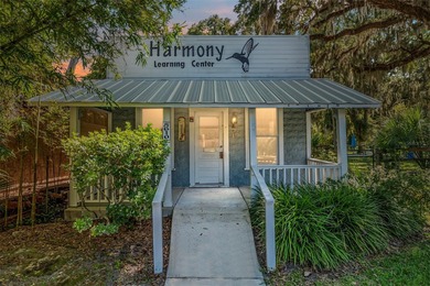 Orange Lake Commercial For Sale in MC Intosh Florida