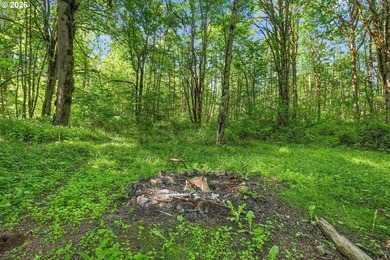 Ready to invest in yourself? This is your chance to own actual - photo 39