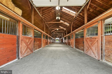 Nestled in the heart of New Hope-one of Bucks County's most - photo 46