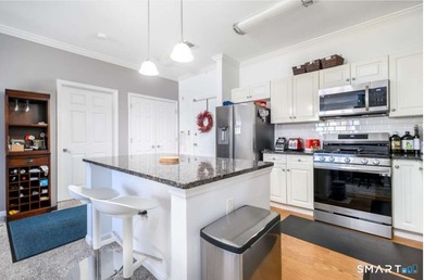 Downtown Stamford Living at Its Best! This fantastic 2-bed - photo 12