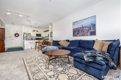 Downtown Stamford Living at Its Best! This fantastic 2-bed - photo 13