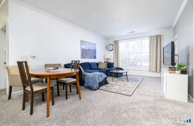 Downtown Stamford Living at Its Best! This fantastic 2-bed - photo 14