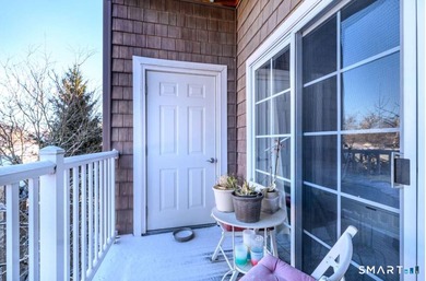 Downtown Stamford Living at Its Best! This fantastic 2-bed - photo 15