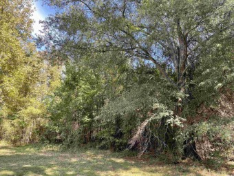 Lake Conway Lot For Sale in Conway Arkansas