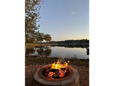 Custom lakefront home with high-end finishes + meticulous - photo 42