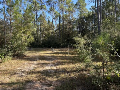 (private lake, pond, creek) Acreage For Sale in Laurel Hill Florida
