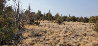 Prineville Reservoir Lot For Sale in Prineville Oregon