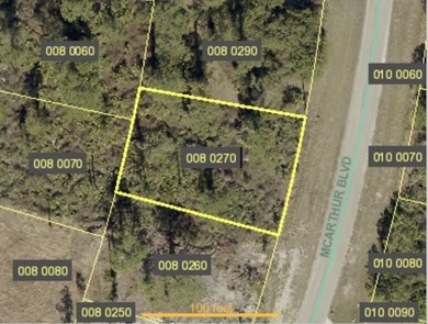 Lehigh Acres Area Lot For Sale in Lehigh Acres Florida