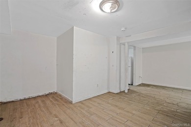Welcome to 294 Hemlock Street, a classic Brooklyn row house - photo 35