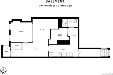 Welcome to 294 Hemlock Street, a classic Brooklyn row house - photo 38