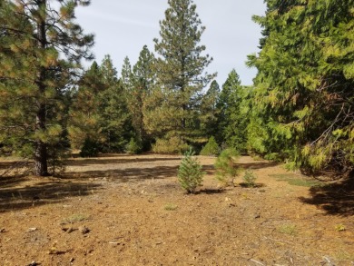 McCumber Reservoir Lot Sale Pending in Shingletown California