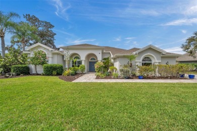 Lake Home Sale Pending in Palm Harbor, Florida