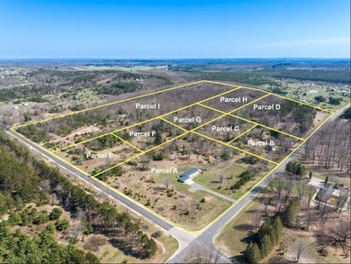 This 1.85-acre parcel ''F'' with mixed hardwoods and pines is - photo 1