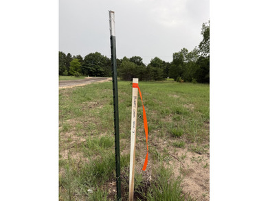 This 1.85-acre parcel ''F'' with mixed hardwoods and pines is - photo 3