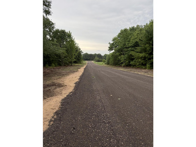 This 1.85-acre parcel ''F'' with mixed hardwoods and pines is - photo 5