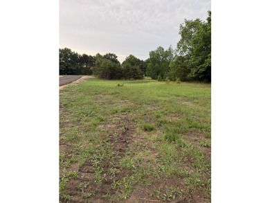 This 1.85-acre parcel ''F'' with mixed hardwoods and pines is - photo 8
