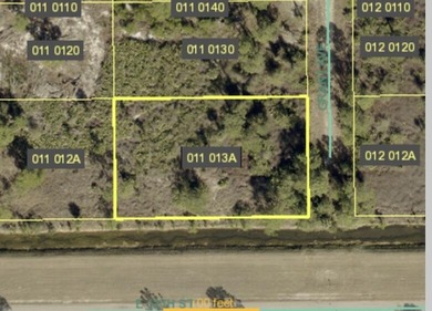 Lehigh Acres Area Lot For Sale in Lehigh Acres Florida
