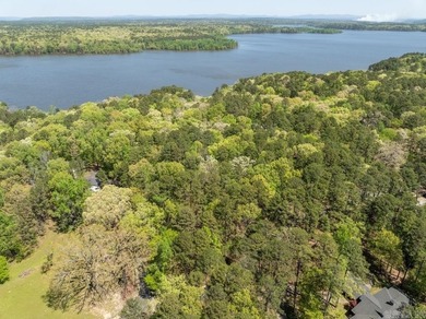 Enjoy Lake Ouachita living from this furnished 1,867+/- sq ft - photo 48