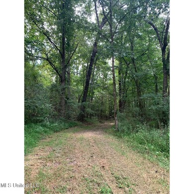 Survey completed 9/16/2025. 22.43 beautiful acres in the - photo 11