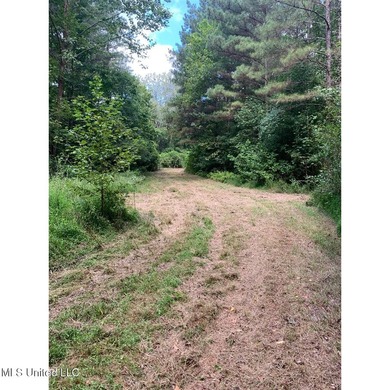 Survey completed 9/16/2025. 22.43 beautiful acres in the - photo 14