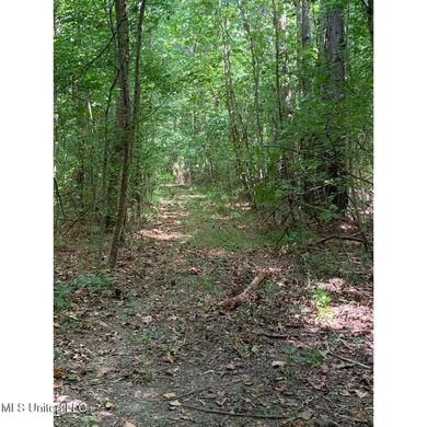 Survey completed 9/16/2025. 22.43 beautiful acres in the - photo 16