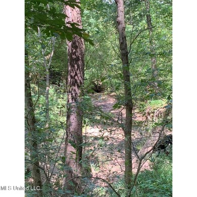 Survey completed 9/16/2025. 22.43 beautiful acres in the - photo 17
