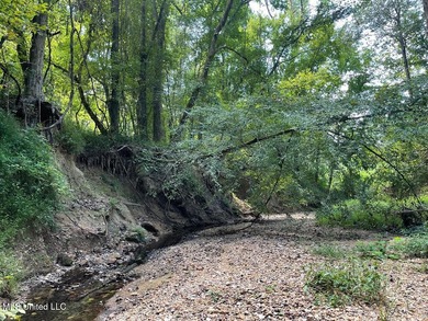 Survey completed 9/16/2025. 22.43 beautiful acres in the - photo 18