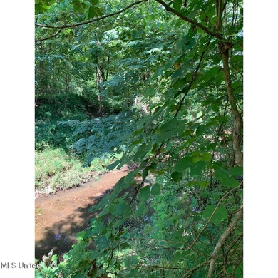 Survey completed 9/16/2025. 22.43 beautiful acres in the - photo 19