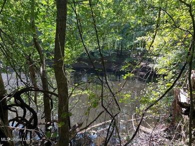Survey completed 9/16/2025. 22.43 beautiful acres in the - photo 20