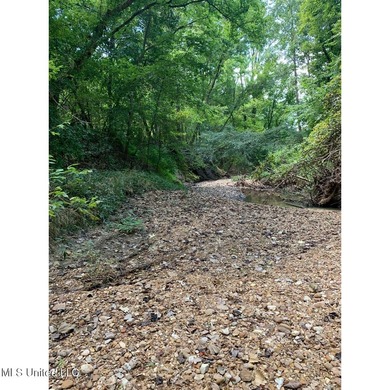 Survey completed 9/16/2025. 22.43 beautiful acres in the - photo 21