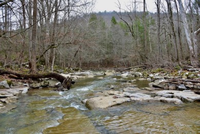Lake Lot For Sale in Monterey, Tennessee