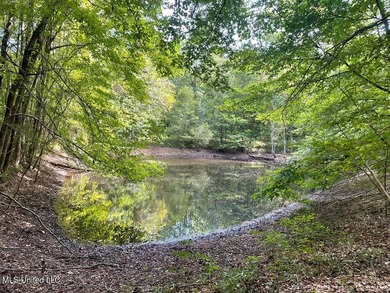 Survey completed 9/16/2025. 22.43 beautiful acres in the - photo 22