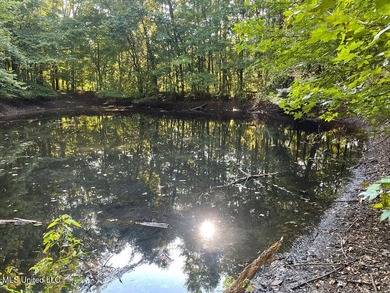 Survey completed 9/16/2025. 22.43 beautiful acres in the - photo 24