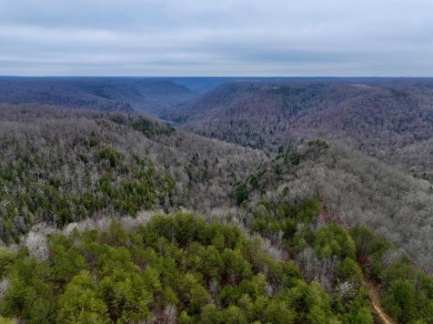 Lake Acreage For Sale in Monterey, Tennessee