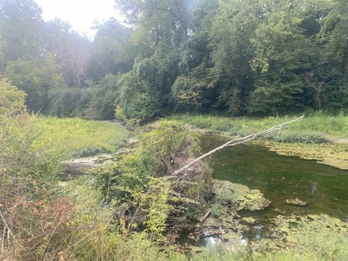 Get your lot bordering the Southfork of the Ouachita River! - photo 5