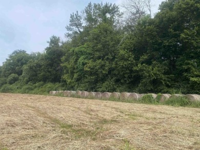 Get your lot bordering the Southfork of the Ouachita River! - photo 10