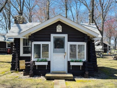 Lake Home For Sale in Houghton Lake, Michigan