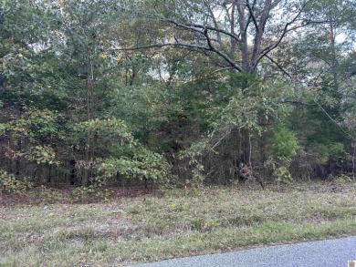 Kentucky Lake Lot For Sale in Hardin Kentucky