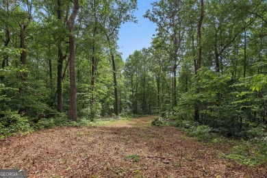 Lake Acreage For Sale in Martin, Georgia